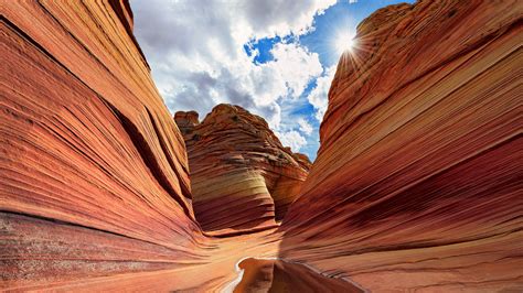 Arizona .